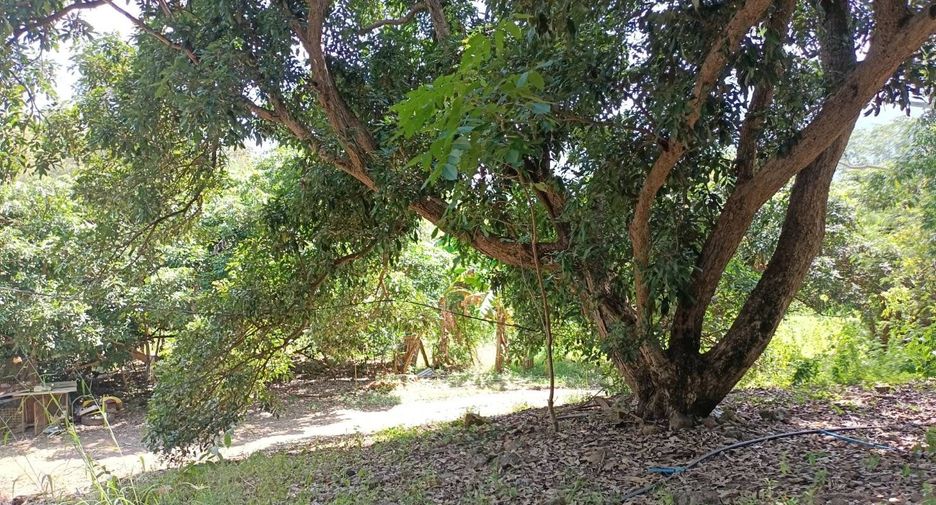 出售 土地 在 Khao Khitchakut, Chanthaburi