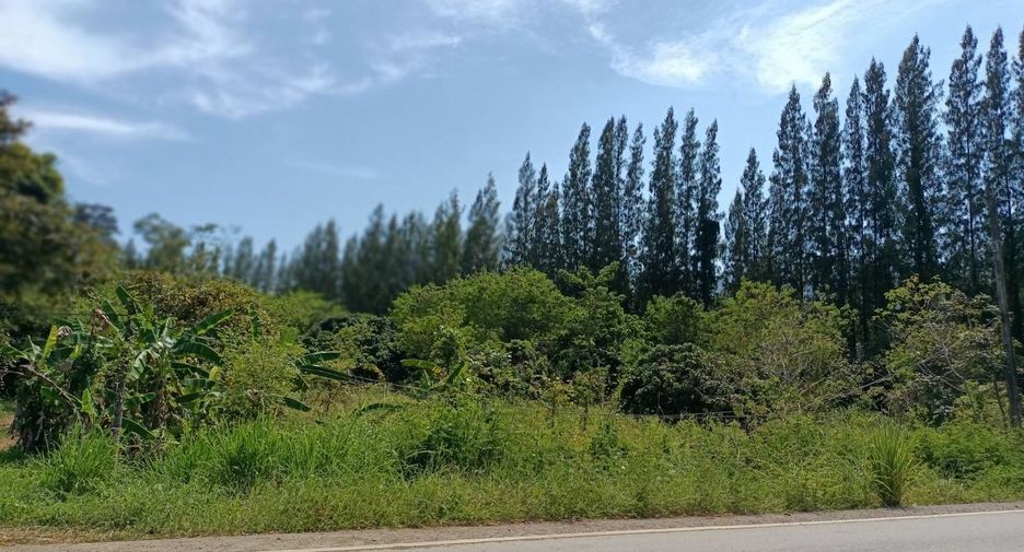 出售 土地 在 Khao Khitchakut, Chanthaburi