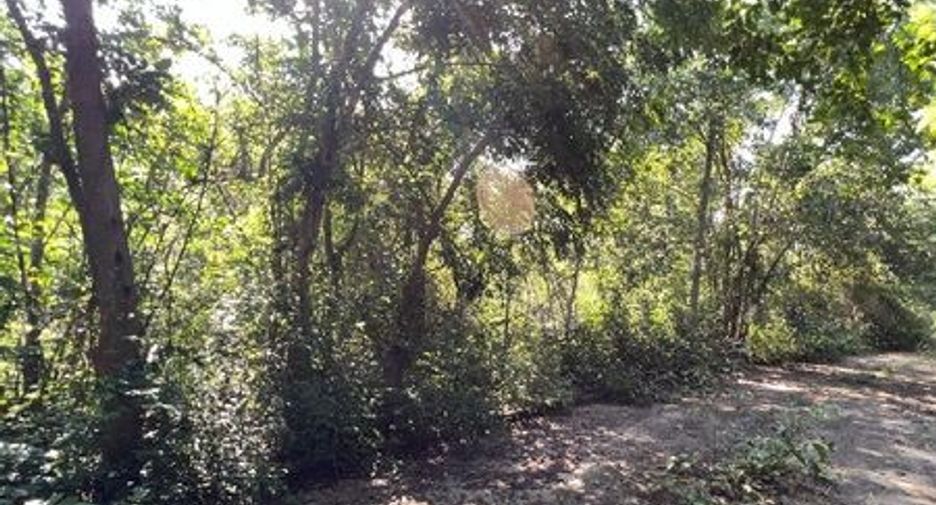 Terreno en venta en Mae Tha, Lampang