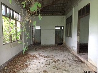 出售 土地 在 Fang, Chiang Mai