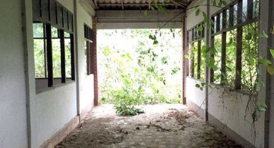 Grundstück zum Kauf in Fang, Chiang Mai