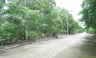 For sale land in Nong Suea, Pathum Thani