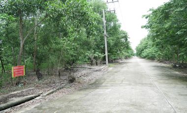 For sale land in Nong Suea, Pathum Thani