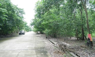 For sale land in Nong Suea, Pathum Thani