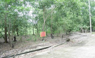 For sale land in Nong Suea, Pathum Thani