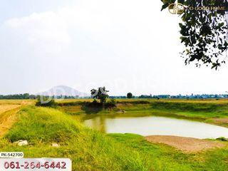 For sale land in Manorom, Chainat