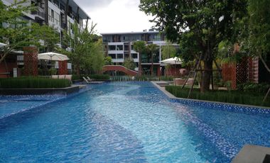 For rent 1 bed condo in Mueang Chiang Mai, Chiang Mai