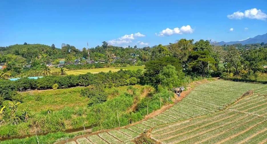 For sale land in Chiang Dao, Chiang Mai