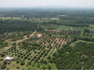 À vendre terrain à Pa Sang, Lamphun