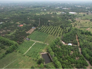 À vendre terrain à Pa Sang, Lamphun