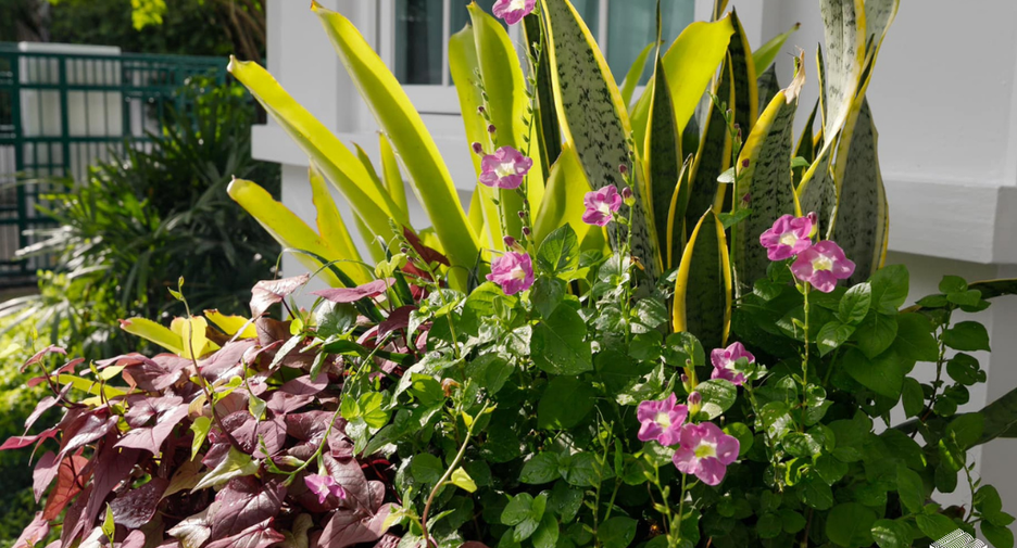 For sale 5 ベッドルーム villa in San Kamphaeng, Chiang Mai