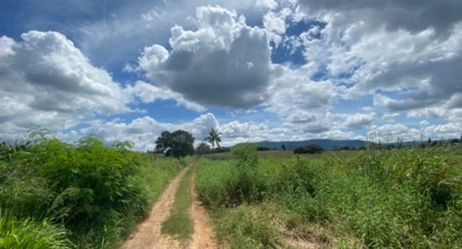 For sale land in Pak Chong, Nakhon Ratchasima