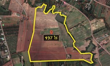 For sale land in Pak Chong, Nakhon Ratchasima