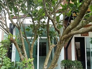 For sale 3 bedrooms house in Pluak Daeng, Rayong