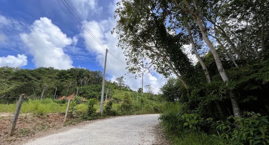 For sale land in Thalang, Phuket