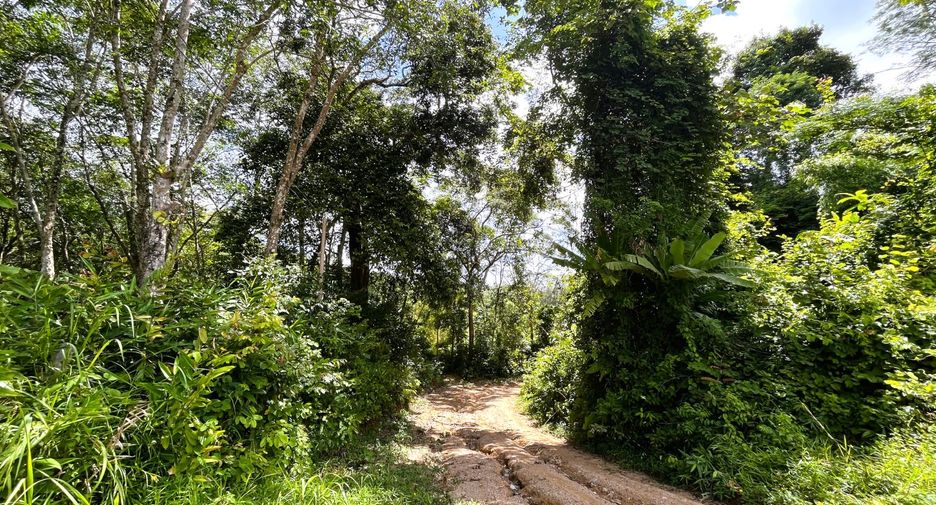 For sale land in Thalang, Phuket