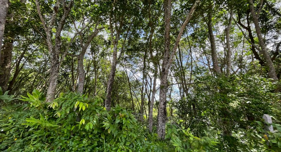 For sale land in Thalang, Phuket