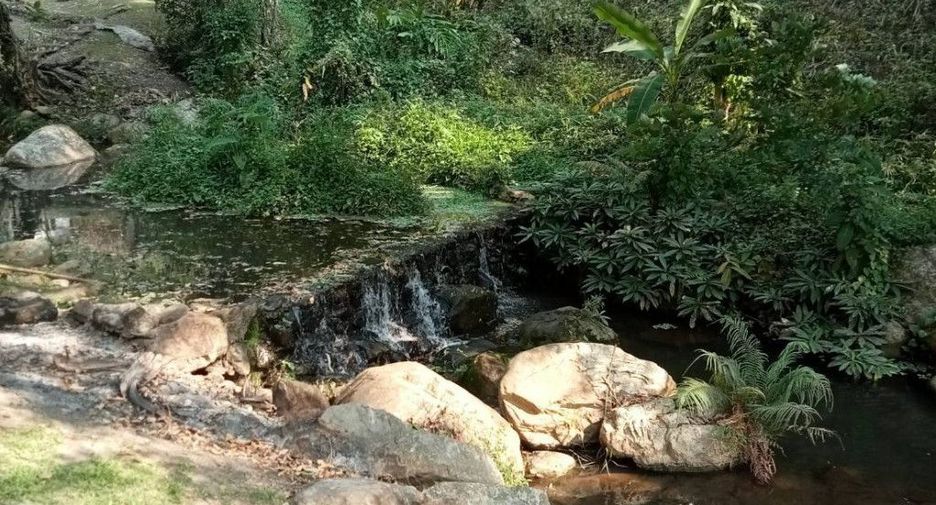 For sale 15 bedrooms hotel in Samoeng, Chiang Mai
