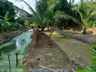 For sale land in Phra Pradaeng, Samut Prakan