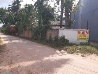 For sale land in Wang Sam Mo, Udon Thani