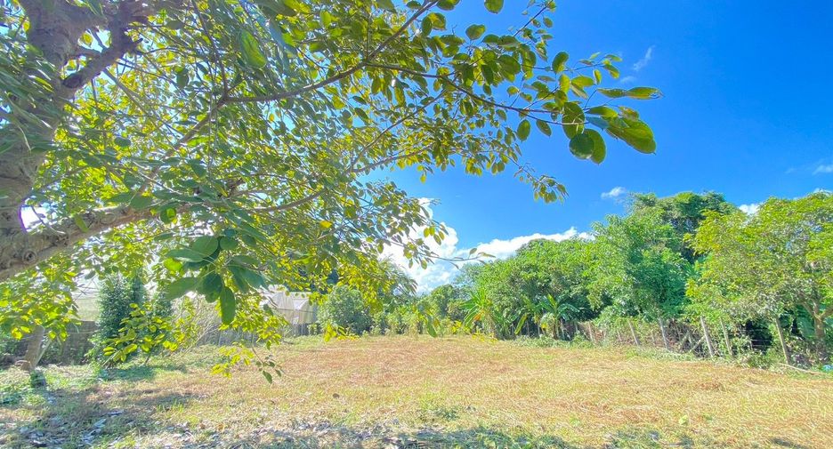 For sale land in San Sai, Chiang Mai