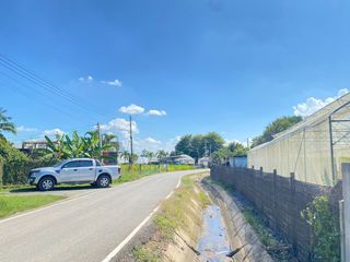 For sale land in San Sai, Chiang Mai