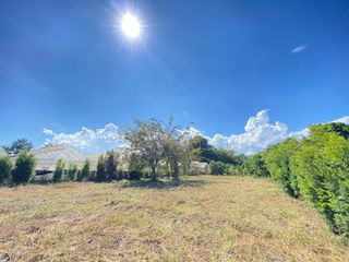 For sale land in San Sai, Chiang Mai