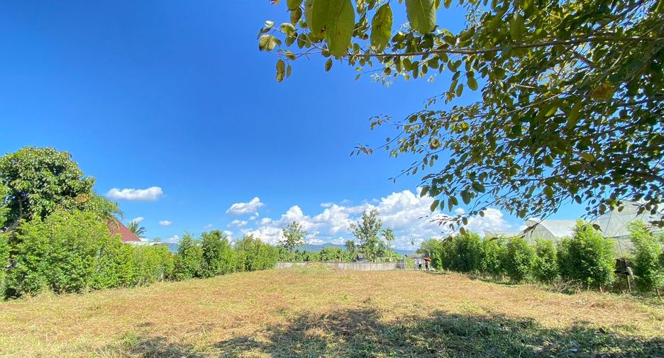 For sale land in San Sai, Chiang Mai