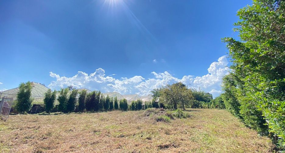 For sale land in San Sai, Chiang Mai