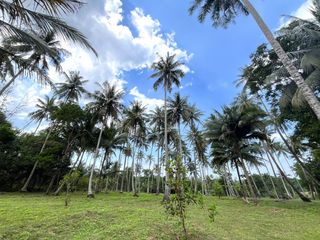 出售 土地 在 Takua Thung, Phangnga