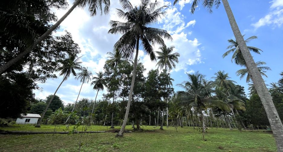 Terreno en venta en Takua Thung, Phang Nga