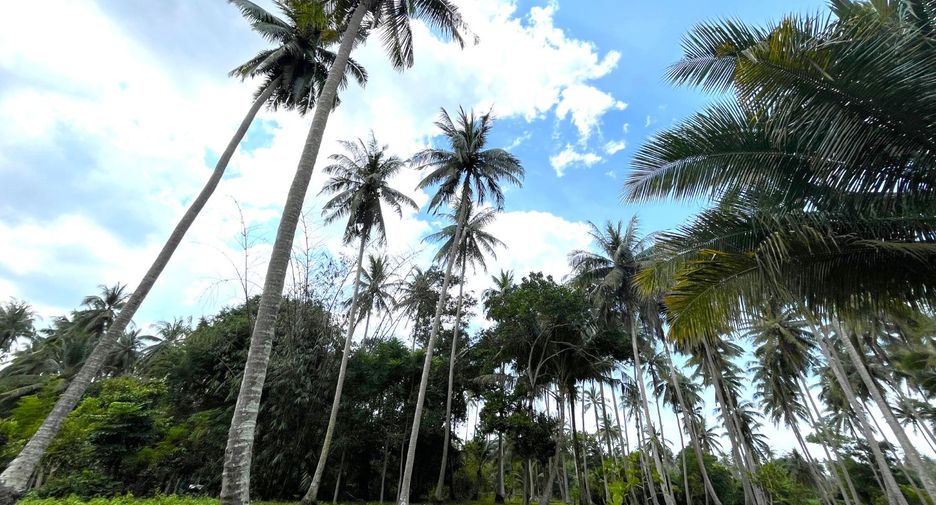 Terreno en venta en Takua Thung, Phang Nga