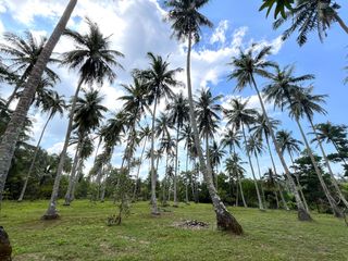 出售 土地 在 Takua Thung, Phangnga
