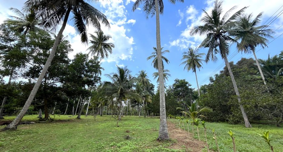 Terreno en venta en Takua Thung, Phang Nga