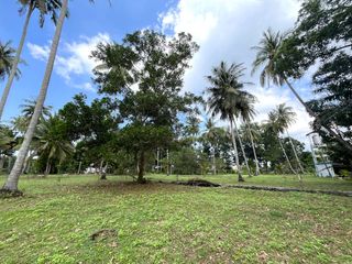 出售 土地 在 Takua Thung, Phangnga