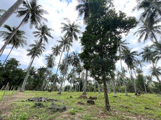 出售 土地 在 Takua Thung, Phangnga