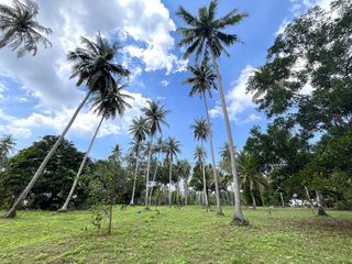 出售 土地 在 Takua Thung, Phangnga