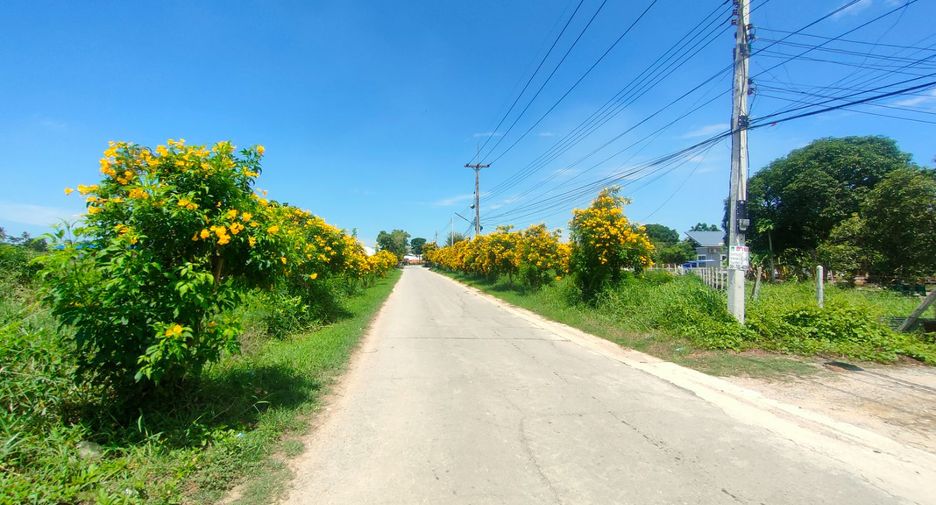 ขาย 2 ห้องนอน บ้านเดี่ยว ใน เมืองเพชรบุรี, เพชรบุรี