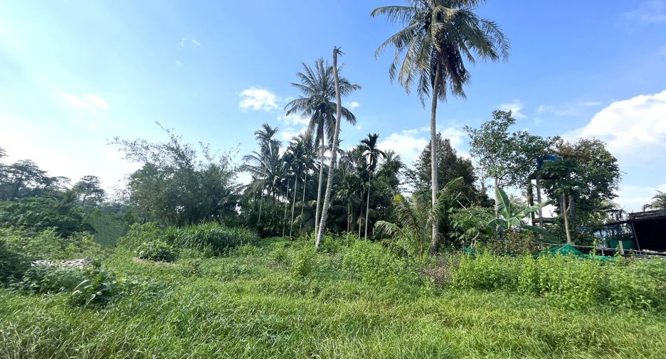 For sale land in Thai Mueang, Phang Nga