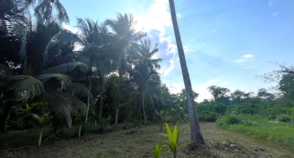 For sale land in Thai Mueang, Phang Nga