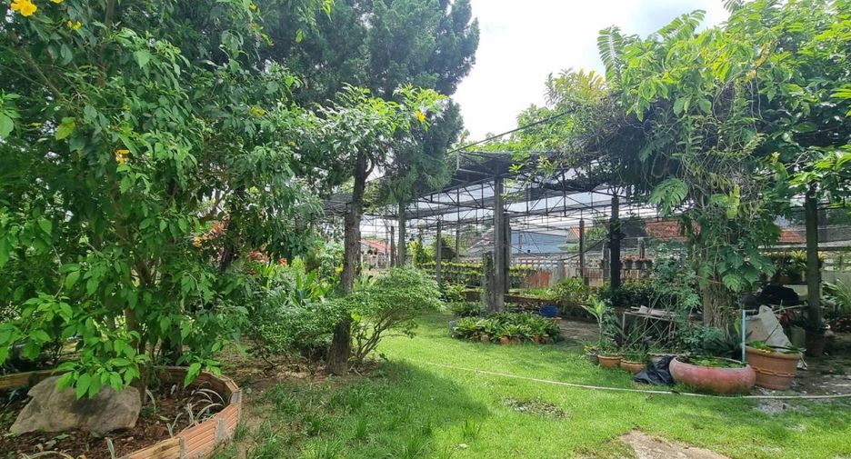 For sale 1 bed house in Lang Suan, Chumphon