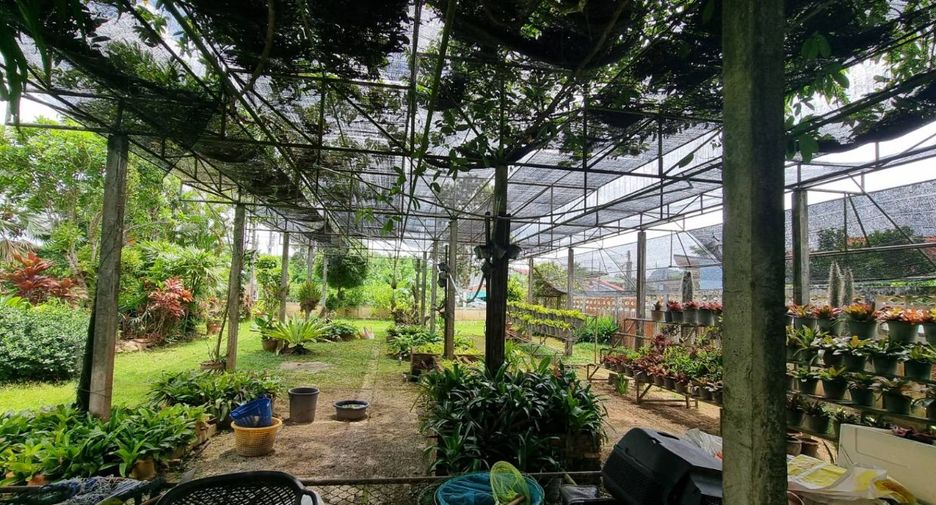 For sale 1 bed house in Lang Suan, Chumphon