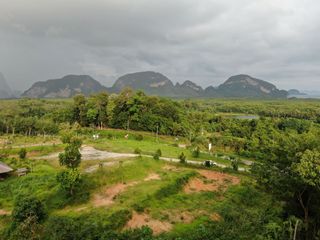 For sale land in Takua Thung, Phang Nga
