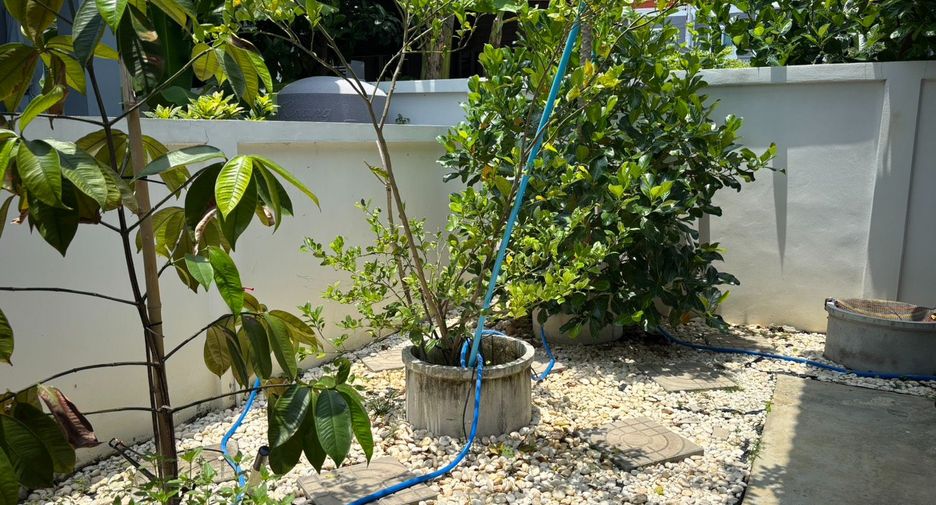 Haus zur Miete mit 3 Zimmer in Mueang Rayong, Rayong