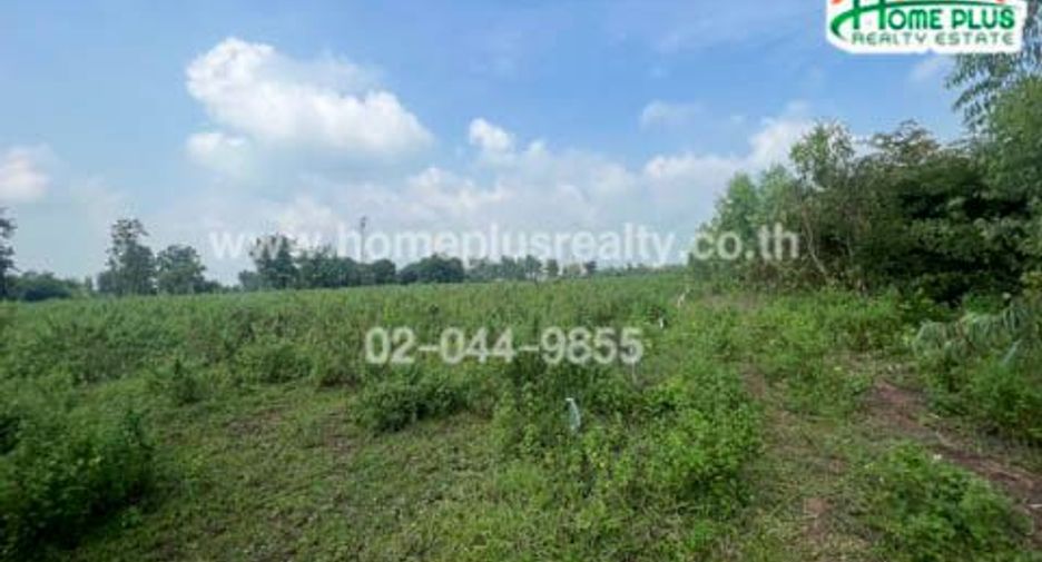 For sale studio land in Tap Khlo, Phichit
