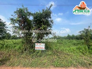 For sale land in Tap Khlo, Phichit