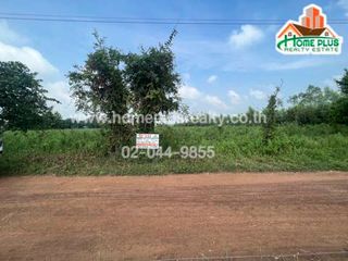 For sale land in Tap Khlo, Phichit