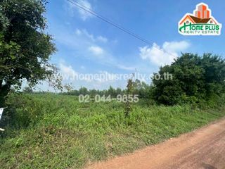 For sale land in Tap Khlo, Phichit