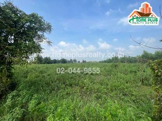 For sale land in Tap Khlo, Phichit