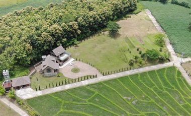 For sale 2 bedrooms house in Pai, Mae Hong Son